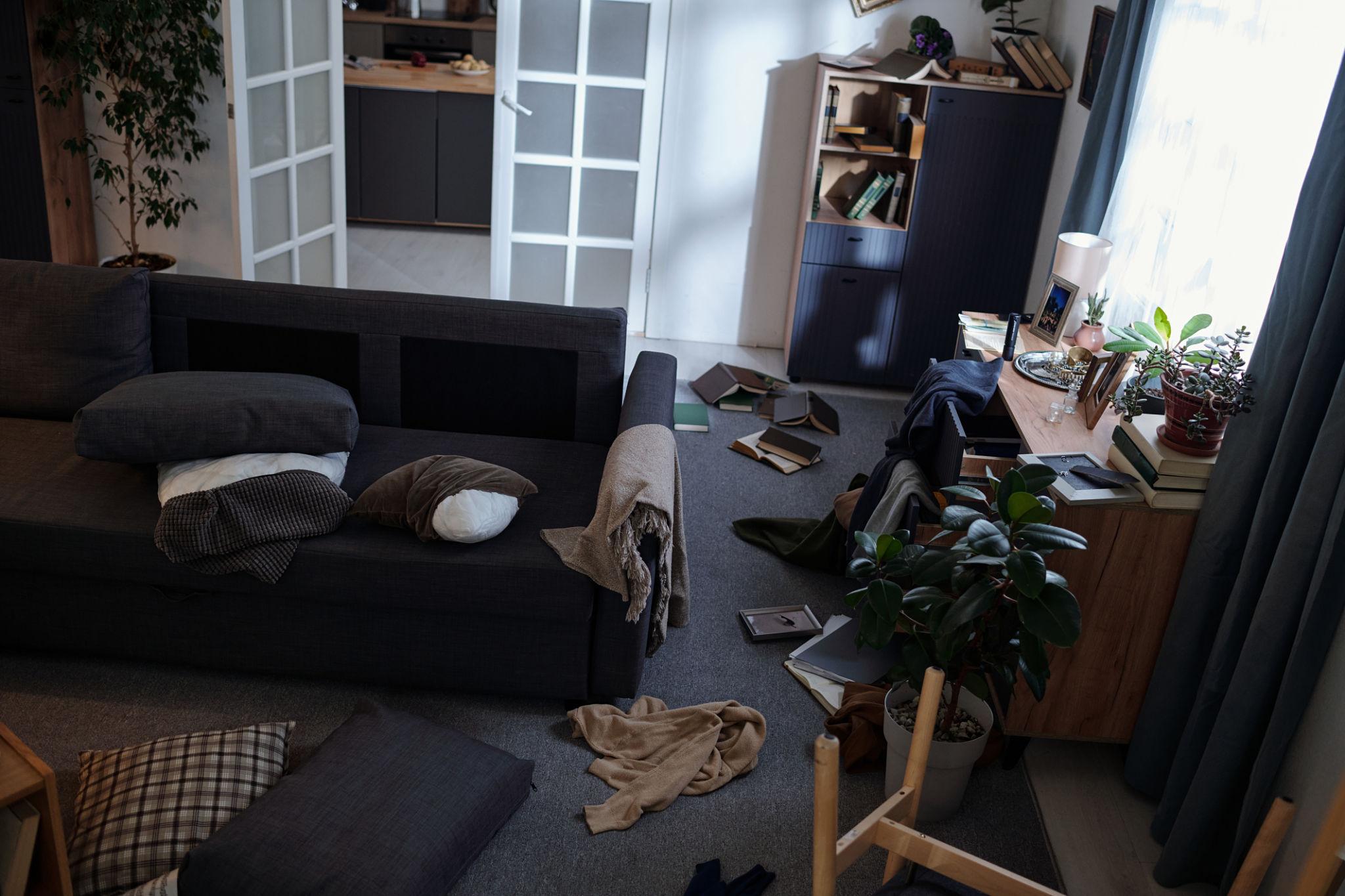 Living room before professional cleaning